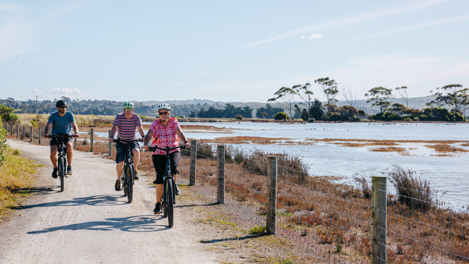 Cycling through Ahuriri Estuary