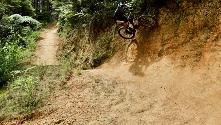 Our world famous berms are made for railing, carving or cruising. One things for sure, you won't get sick of twisting down the lush forrest landscape.