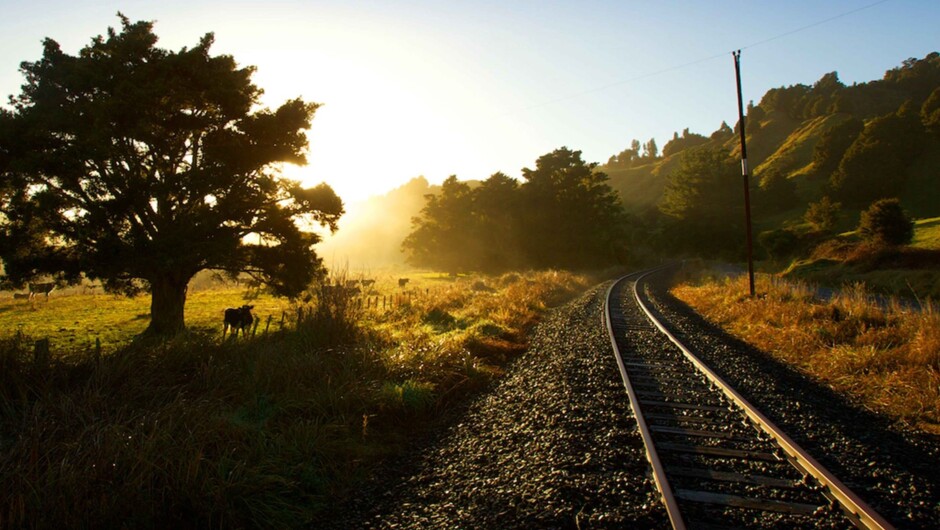 Morning sun beaming down on the historic Stratford-Okahukura Line