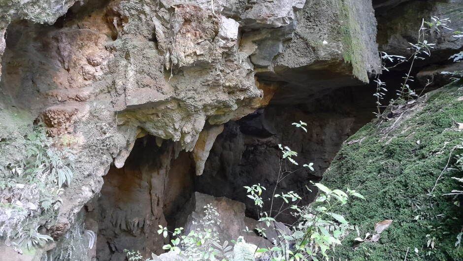 Entrance to the Milky Way Cave where you will have your guided glow worm cave tour.