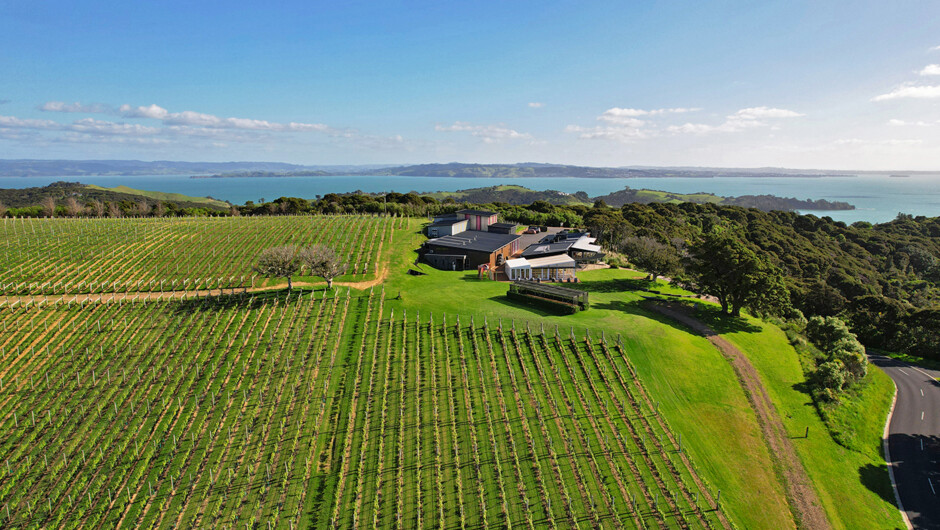 Our estate features 360 degree vistas from Auckland to Coromandel. Situated on one of the highest peaks of the island, we offer spectacular wines, food and views.