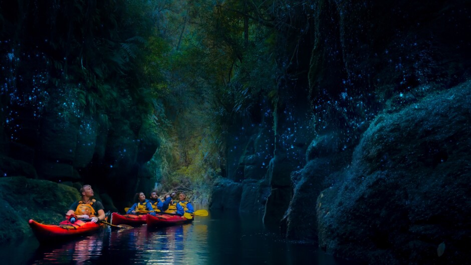 Explore the Managapapa Glowworm Canyon | Waimarino Kayak Tours