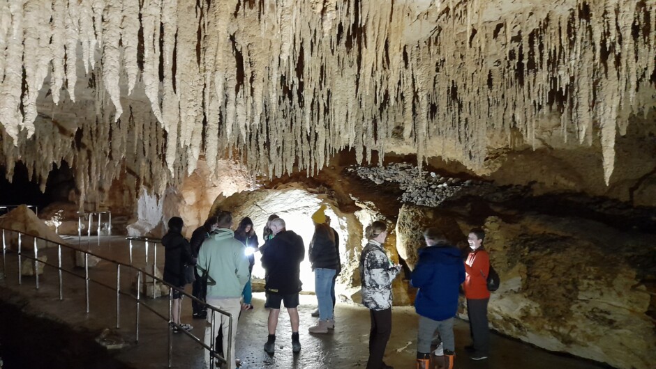 People with their tour guide in the cave. Once lights go out they will see the glow worms.