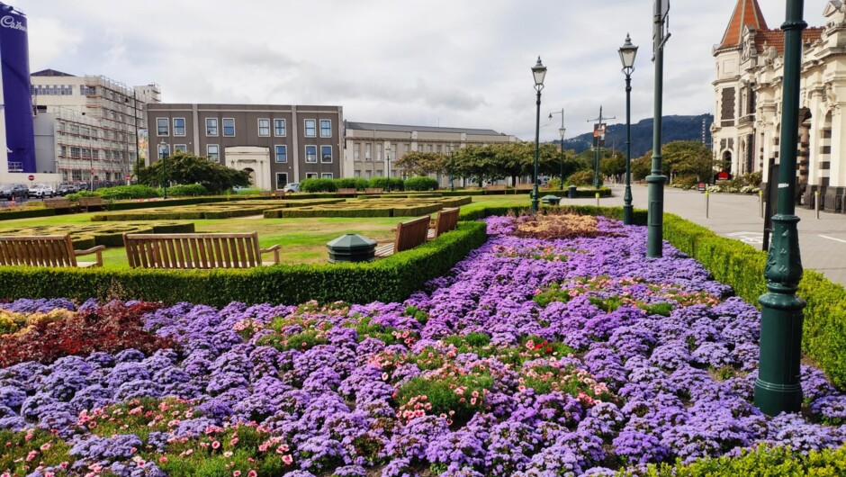 Dunedin Railway Station Gardens in full bloom.