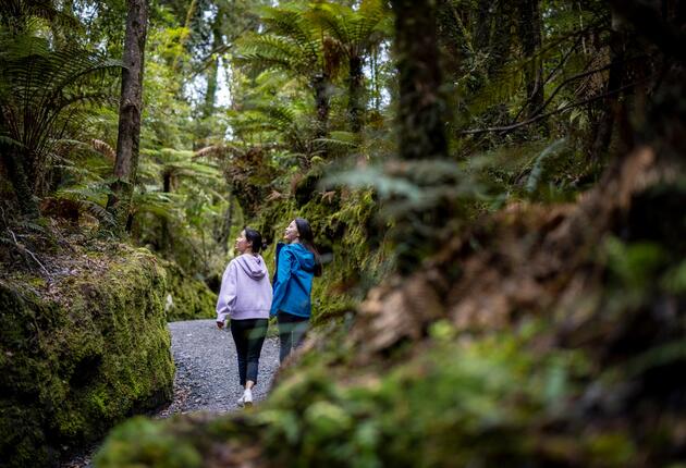 Discover the rugged natural beauty, unique experiences and outdoor adventure on the West Coast. Check out the top 8 experiences on the West Coast.