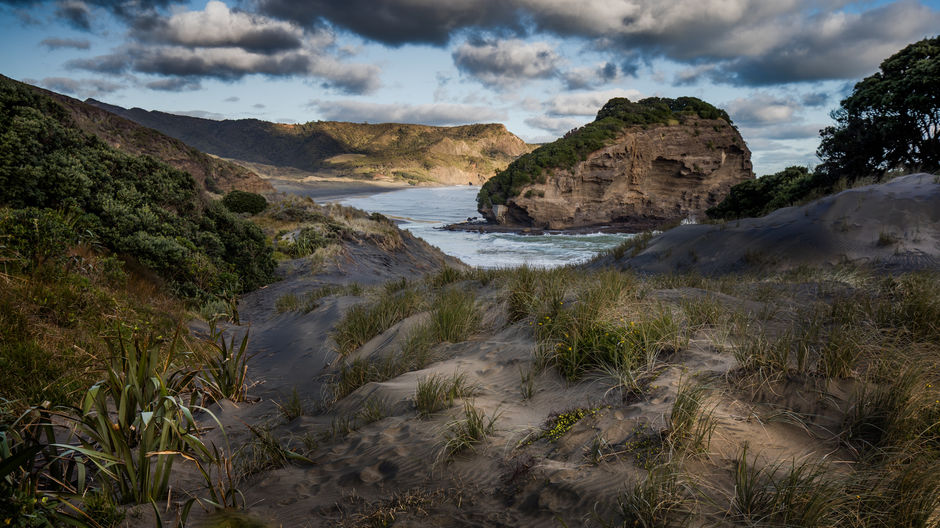 Entdecke die schroffe Schönheit von Aucklands Westküste.