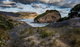 Discover the rugged beauty of Auckland's West Coast.