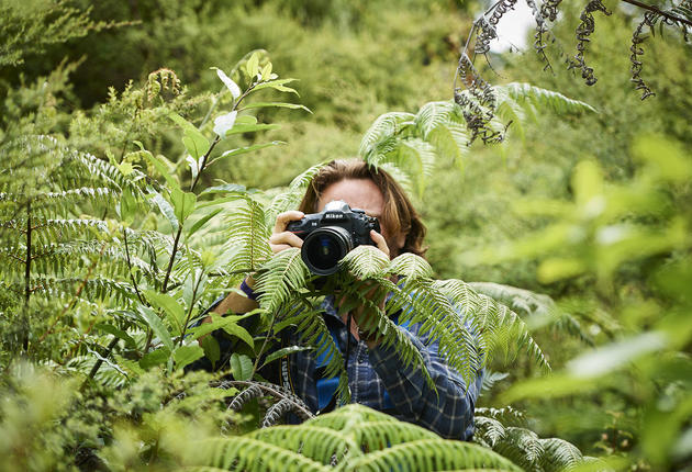 无论您是专业摄影师，还是狂热的照片分享爱好者，新西兰都能为您的镜头呈现超乎想象的目标景象。