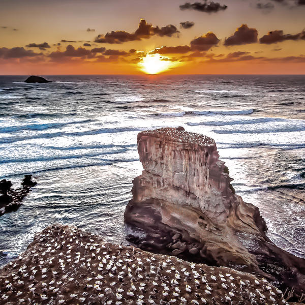 Sunset in Muriwai