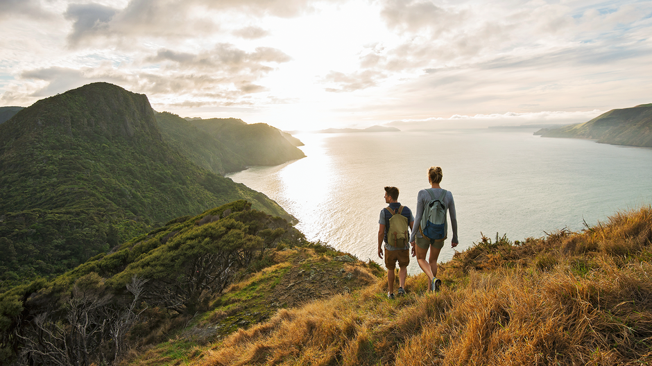 Walking in the Waitakere Ranges in west of the city is rated among the best things to do when you're visiting Auckland.