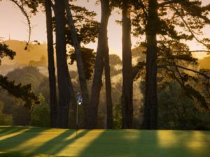 レミュエラ・ゴルフ・クラブは1931年に設立されたパークランド・スタイルのコースで、伝統と威厳に満ちた雰囲気が魅力です。