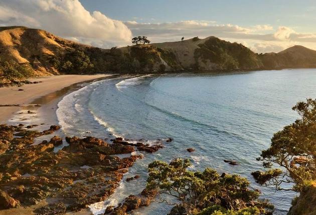 The Hauraki Gulf is dotted with islands throughout its sparkling blue waters