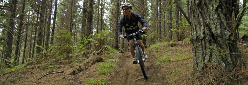 Explore the forest on the many cycle trails.