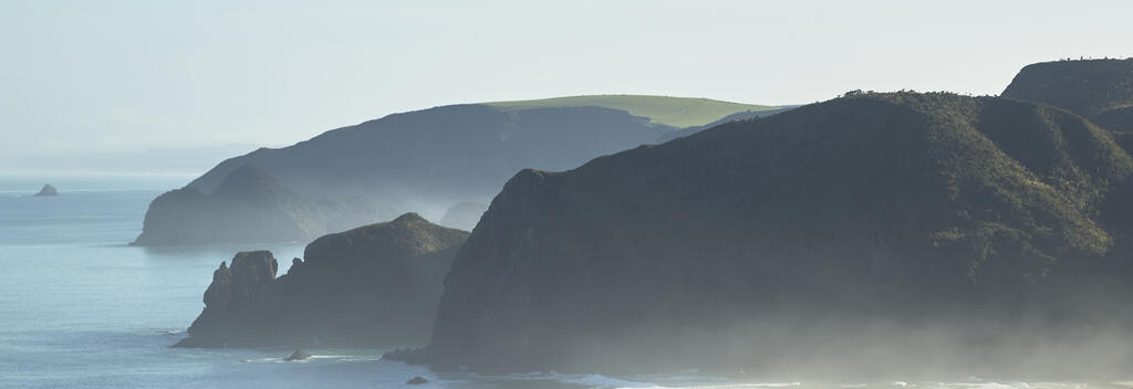 Piha Beach