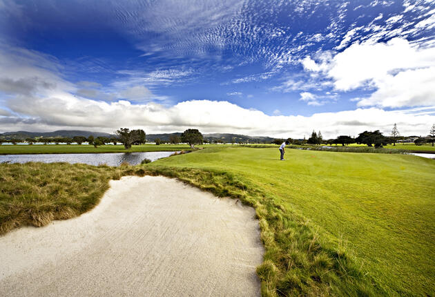 체험 골프 코스(Experience Golf Course)란 명문 골프 코스(Marquee Course)에 더하여, 골프 전문가가 선정한 뉴질랜드의 다양하고 독특한 지방색을 경험할 수 있는 골프 코스를 가리킨다.