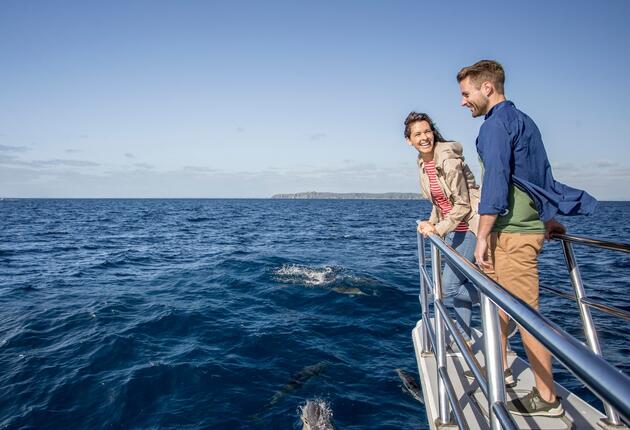 奥克兰（Auckland）的豪拉基海湾（Hauraki Gulf ）幅员数百万公顷，风平浪静、波光熠熠的蔚蓝海域之上点缀着诸多小岛，是轮船巡游或扬帆航海的完美之选。