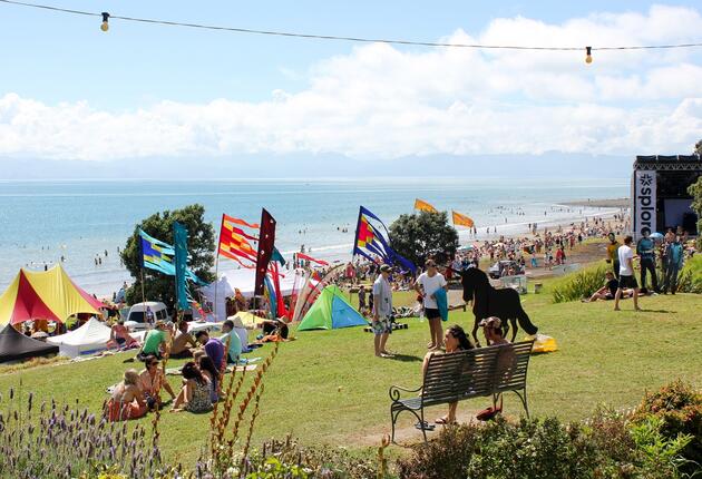 Listen to chilled beats by the beach at Splore, head to Homegrown to catch Kiwi talent in the world's coolest capital or immerse yourself in Pacific culture at Pasifika.