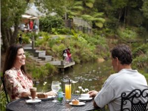 Matakana Farmers Market