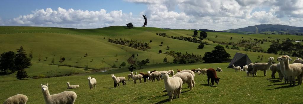 Explore Gibbs Farm