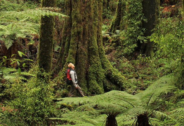 The timber town of Murupura sits at the edge of the Kaingaroa Forest. If hunting and fishing are on your agenda, you’ll find plenty of action here.