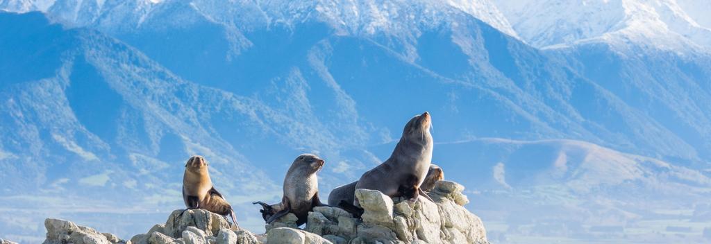 Kaikoura, Canterbury