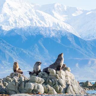 Kaikoura, Canterbury