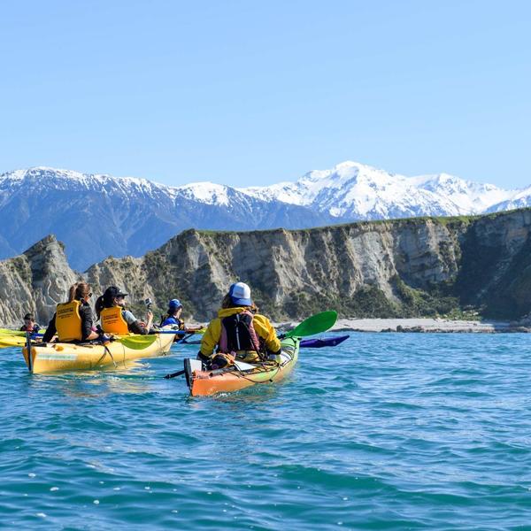 Kayak tour with Kaikoura Kayaks