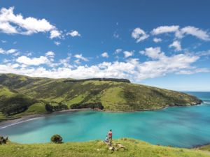 在阿卡罗瓦海港（Akaroa harbour）划皮划艇。