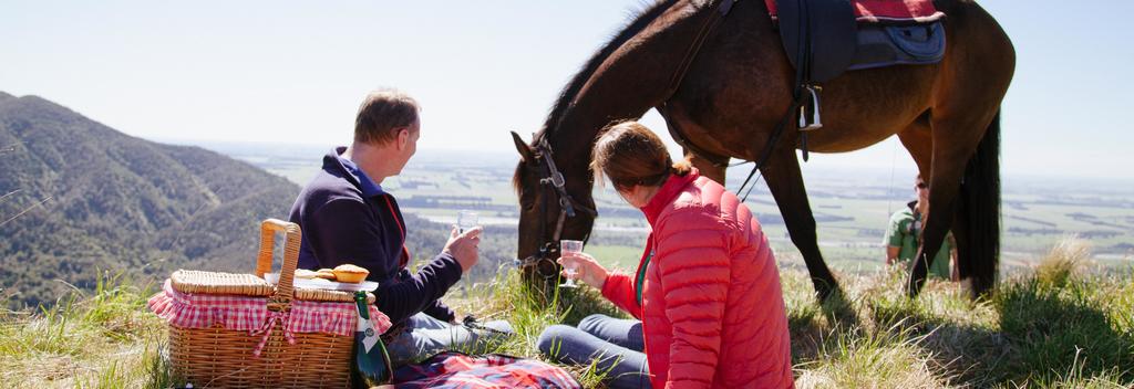 Experience Mid Canterbury on horseback with stunning views