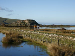 The Christchurch to Little River Rail Trail mostly follows the route of a 19th century railway line between Hornby and Little River.