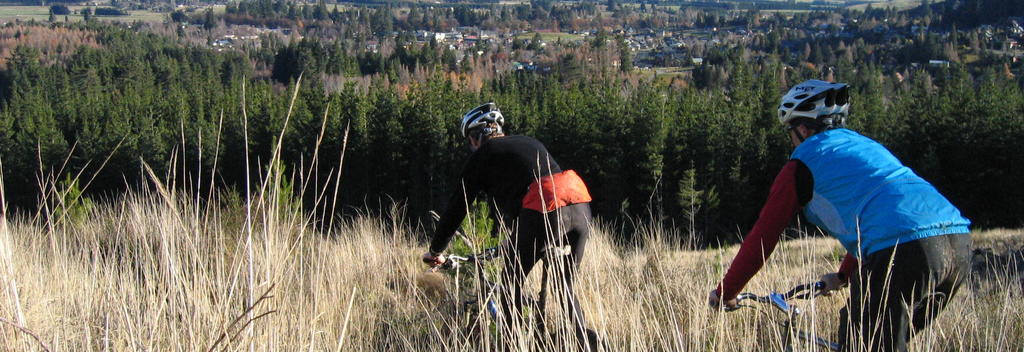 Riding high on the Hanmer Forest Tracks