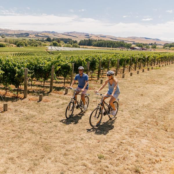 Biking around vineyards in Waipara