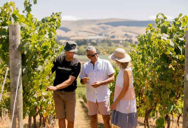 Canterbury's fertile soils, warm summers and cold winters produce wines that are renowned for their intense flavours, richness and complex fruit.