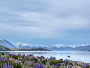 Lake Tekapo/Takapō