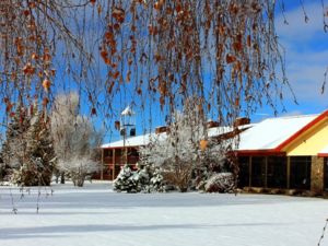 Snow on lawn