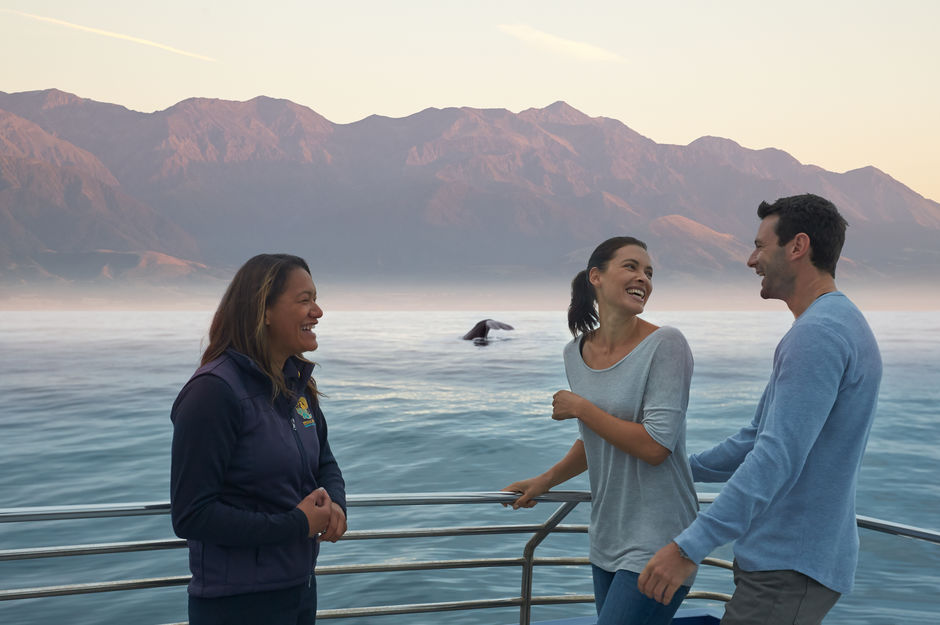 Tomá un tour de avistamiento de ballenas en Kaikoura.