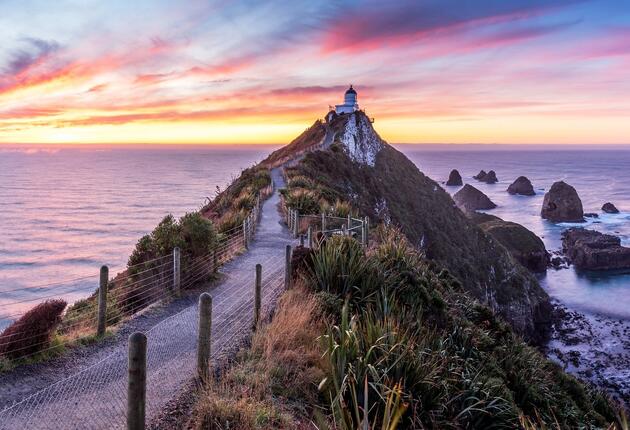 If you want a camera full of amazing wildlife pictures, make sure you visit Nugget Point.