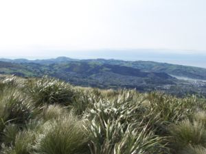 从弗拉格斯塔夫山（Flagstaff Hill）上的观景点可高高地俯瞰风光旖旎的海港和内陆平原，这在开拓者时代是一处非常有利的地形。