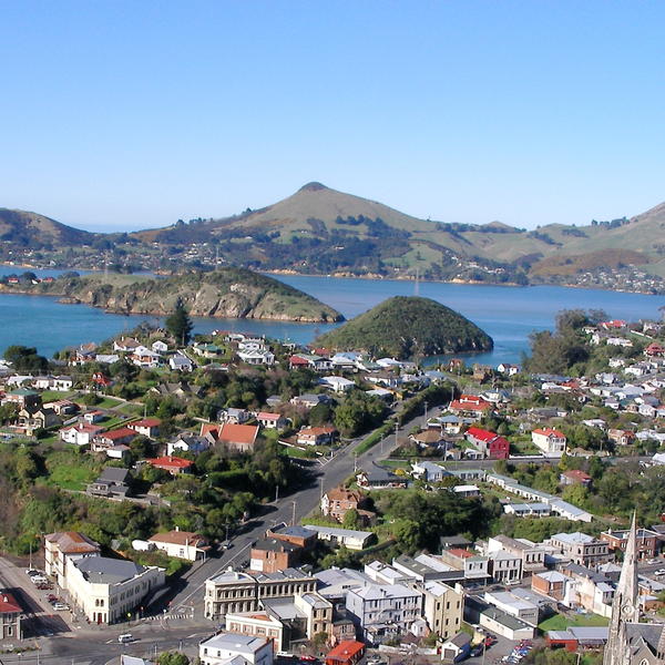 View from lookout over Port Chalmers