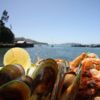 Seafood, Port Chalmers