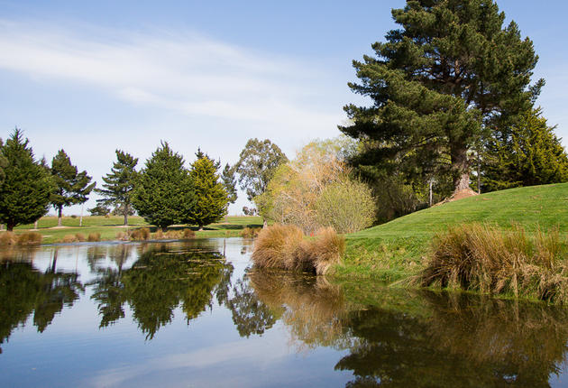 If you arrive in Dunedin by air, you’ll pass Mosgiel on the way into the city. This large suburb doubles as a country town for the local farmers.