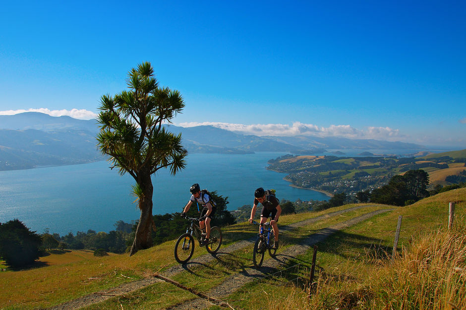 Auf einer Radtour über die Otago Peninsula erwarten dich beste Aussichten.