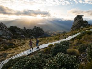 Tuatapere Hump Ridge Track