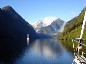 An overnight boat cruise lets you travel deeper into Milford or Doubtful Sound.