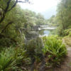 Beside the Seaforth River, between Loch Maree and Supper Cove.