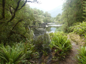 Beside the Seaforth River, between Loch Maree and Supper Cove.