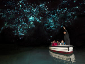 Under the green hills of Waitomo lies a labyrinth of caves, sinkholes and underground rivers