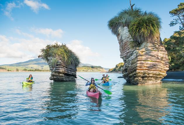 Die Waikato Region hat mehr zu bieten als weitläufiges Weideland. Besuche Hamilton, unsere viertgrößte Stadt, das Surferzentrum Raglan und die Waitomo-Höhlen auf deiner Reise.