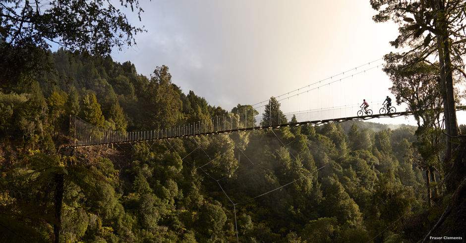 北島の太古の森林を蛇行するように走るトレイル。8カ所で吊り橋を渡ります。