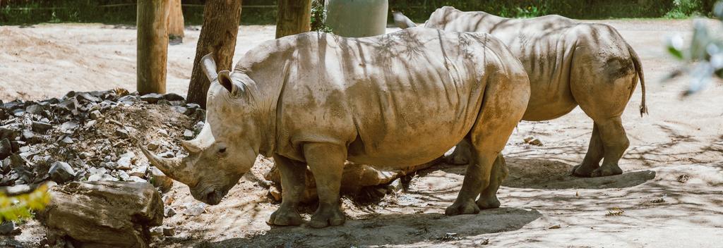 Hamilton Zoo